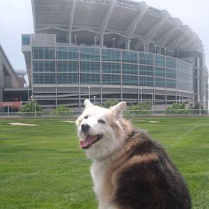 Meet your Posher, Nichole